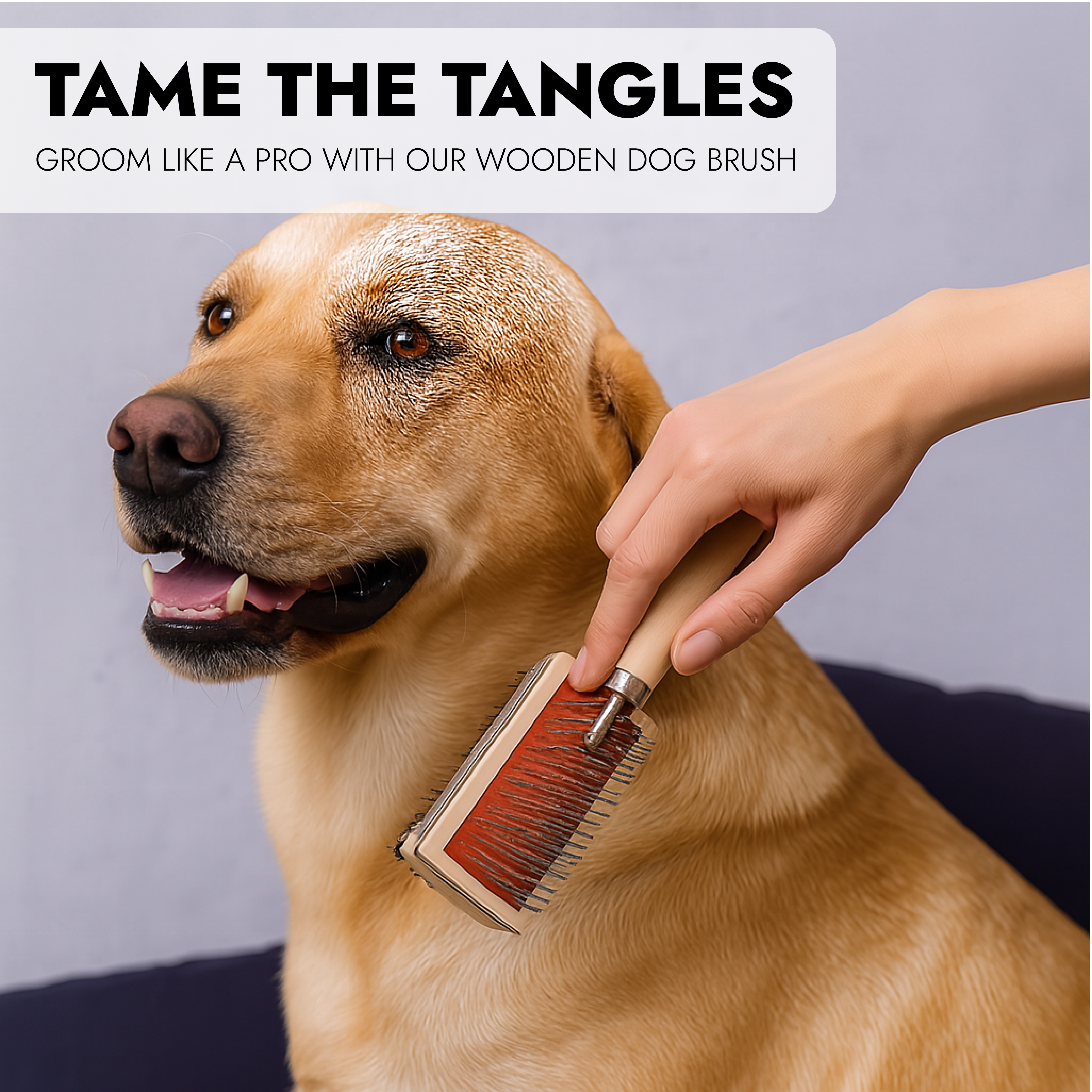 Wooden Dog Brush with Hard and Soft Bristles - Double Sided Brush