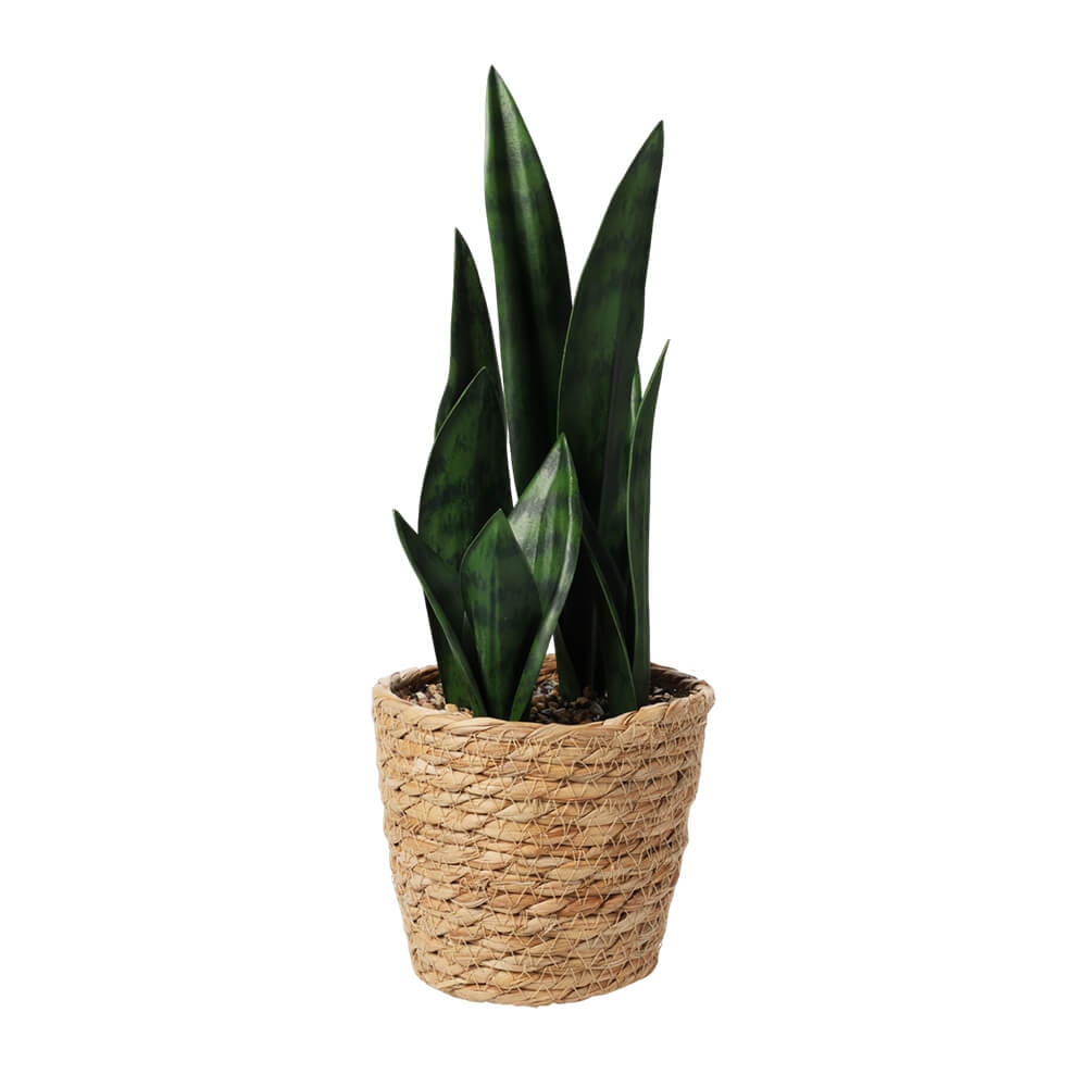 Artificial Plant in Cattail Pot - 38cm