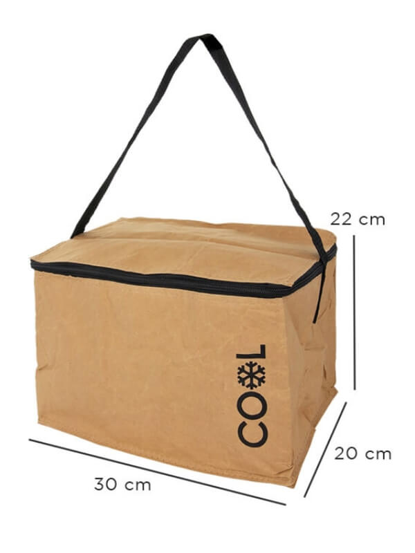 Insulated Cooler Bag - 13L