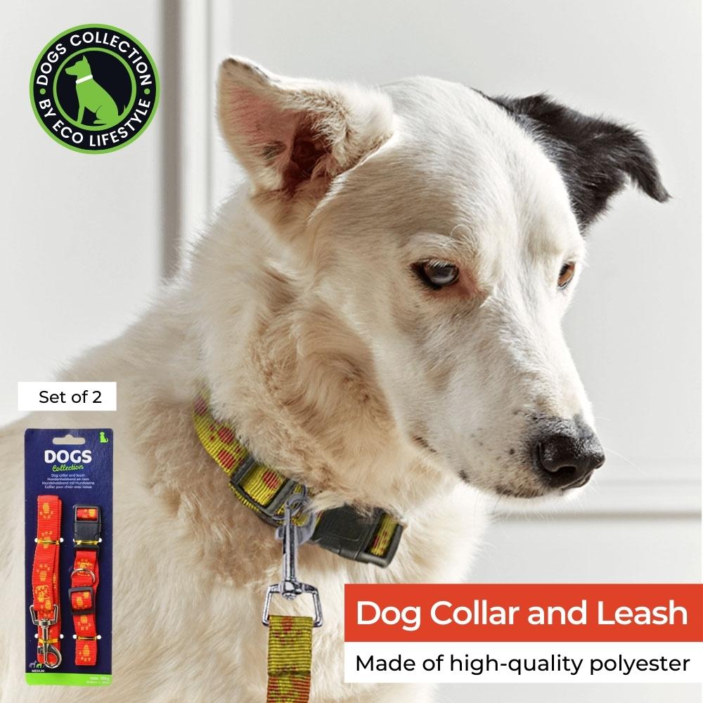 Dog Collar and Leash