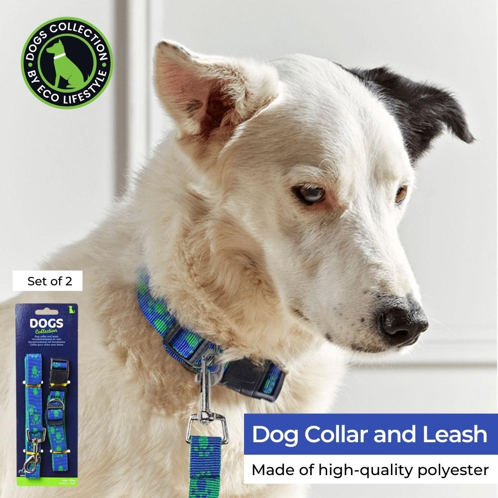 Dog Collar and Leash