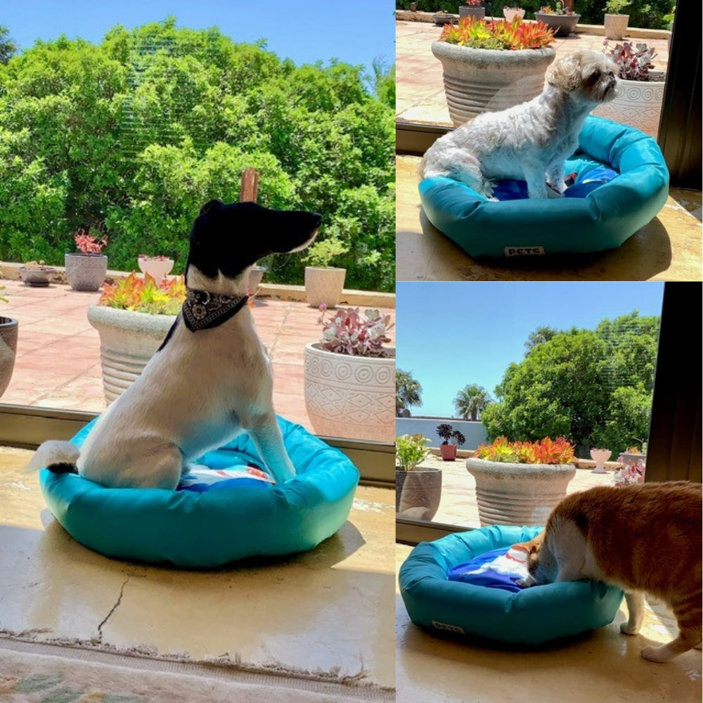Pet Bed for Small Pets and Puppies - Round Design