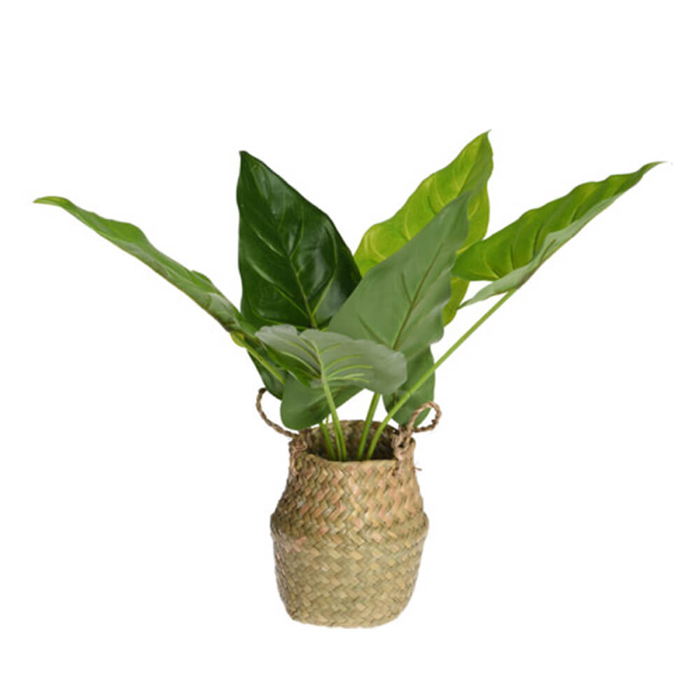 Planta artificial en cesta de paja con asas - 48 cm