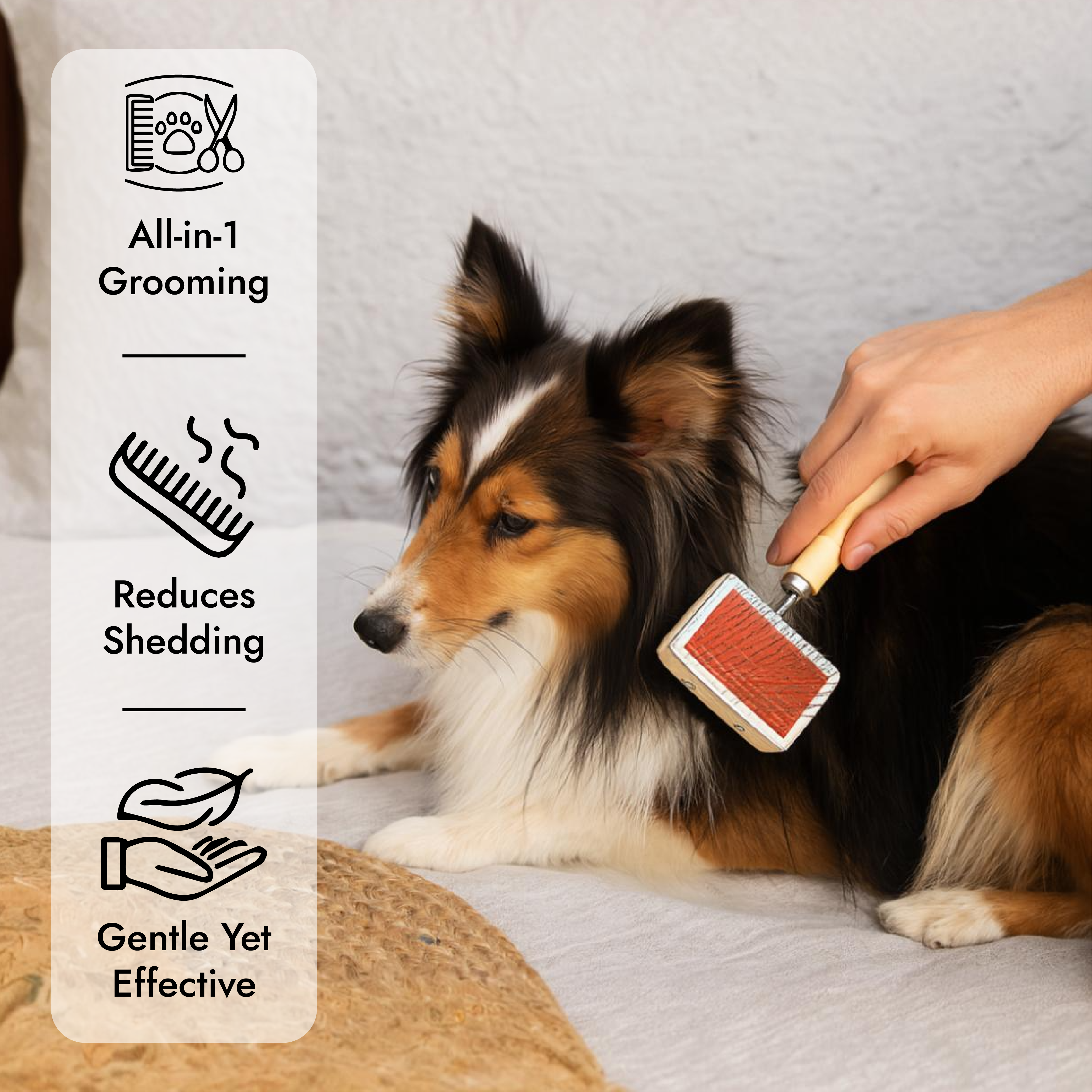 Wooden Dog Brush with Hard and Soft Bristles - Double Sided Brush