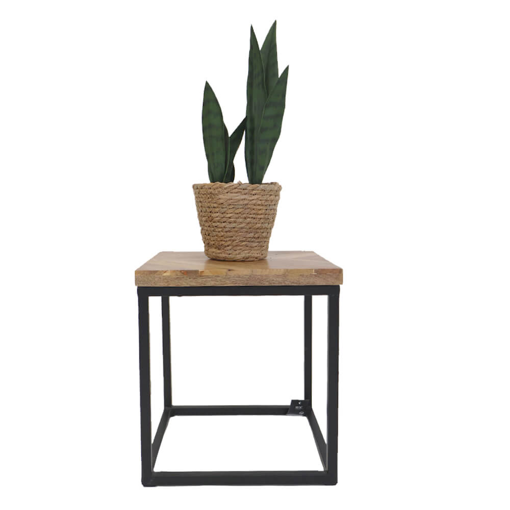 Mango wood side Table & Cattail Rope Pot plant