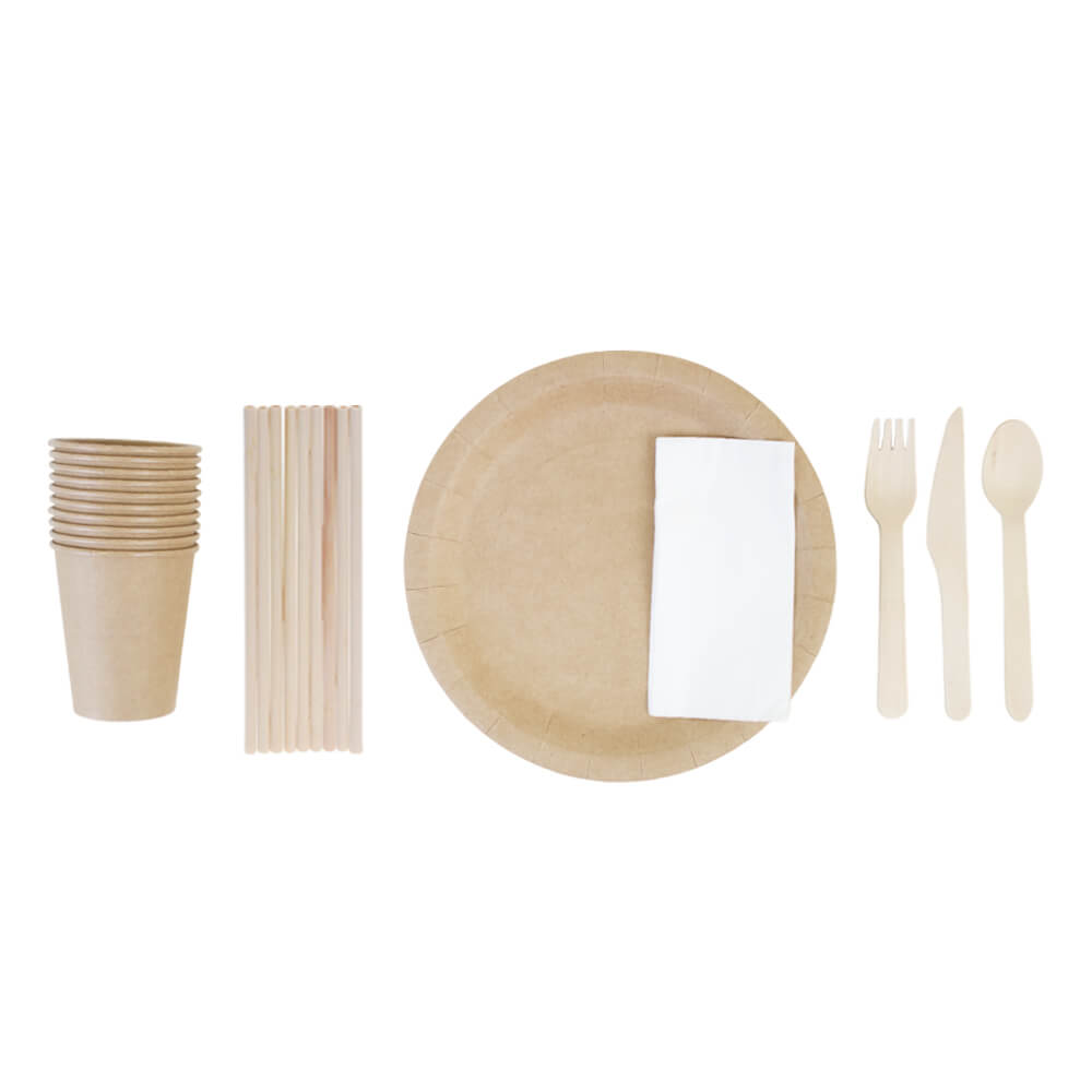 Disposable Biodegradable Cutlery Set - All in 1