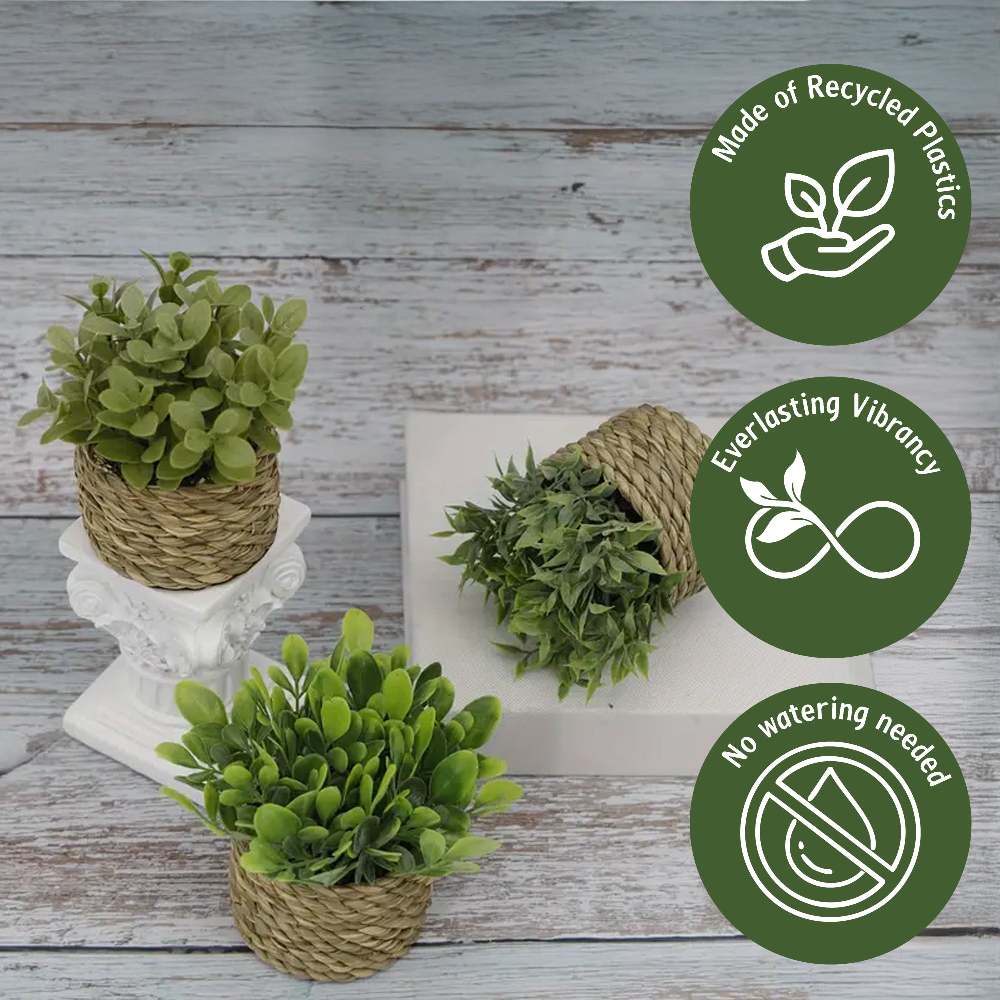 Artificial Plant in Seagrass Pot – 23cm Tall, 4 Assorted Designs
