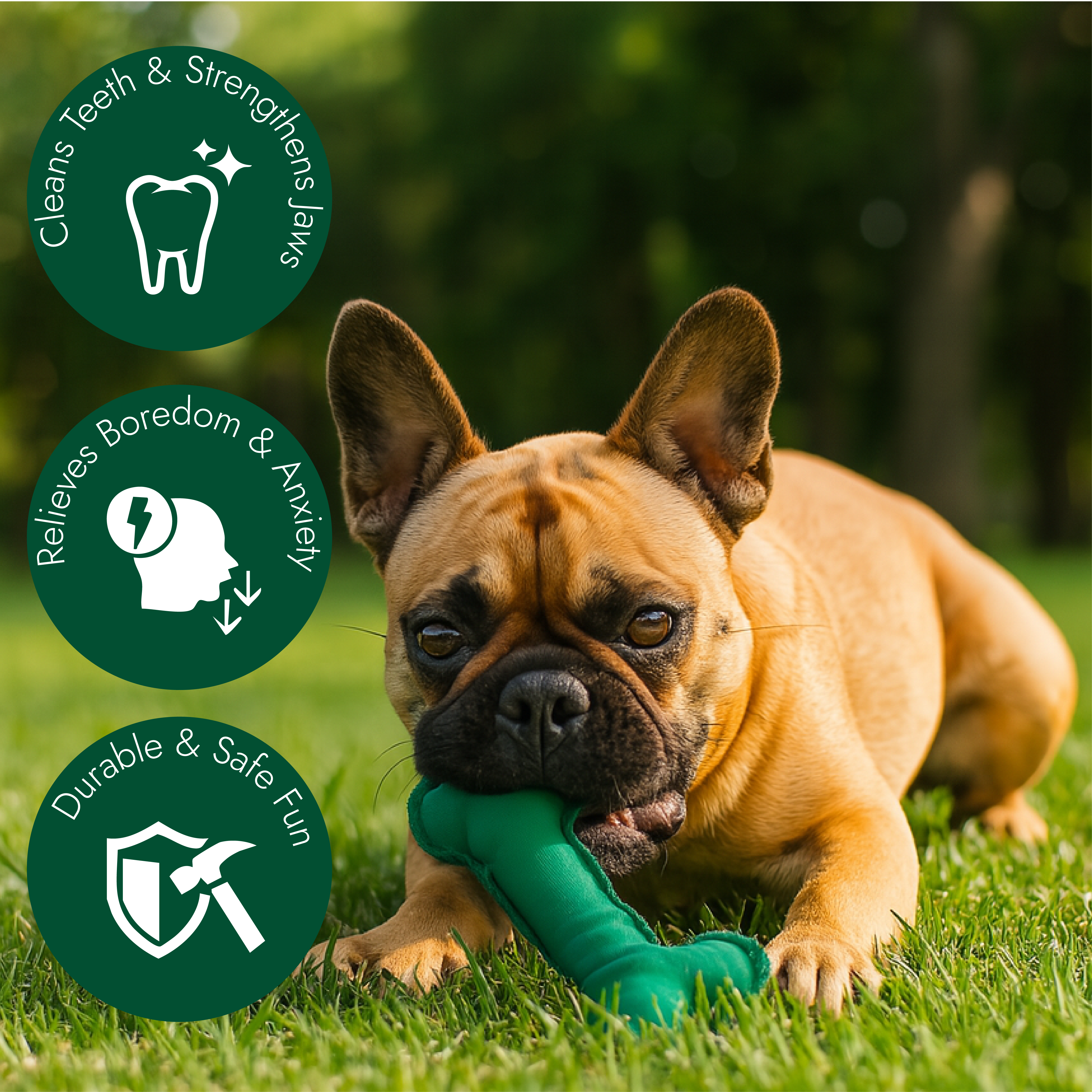 Dog Bone Toy