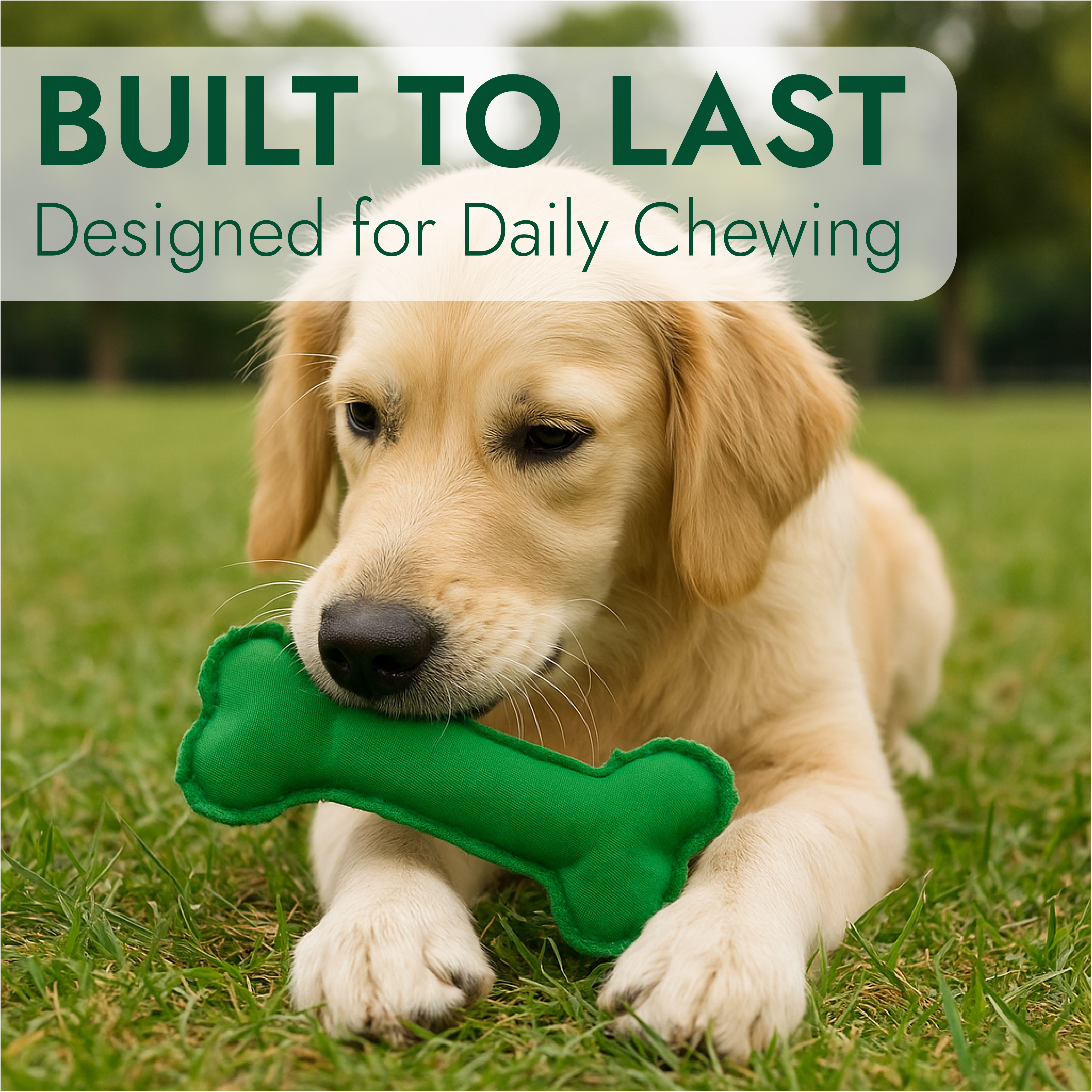 Dog Bone Toy