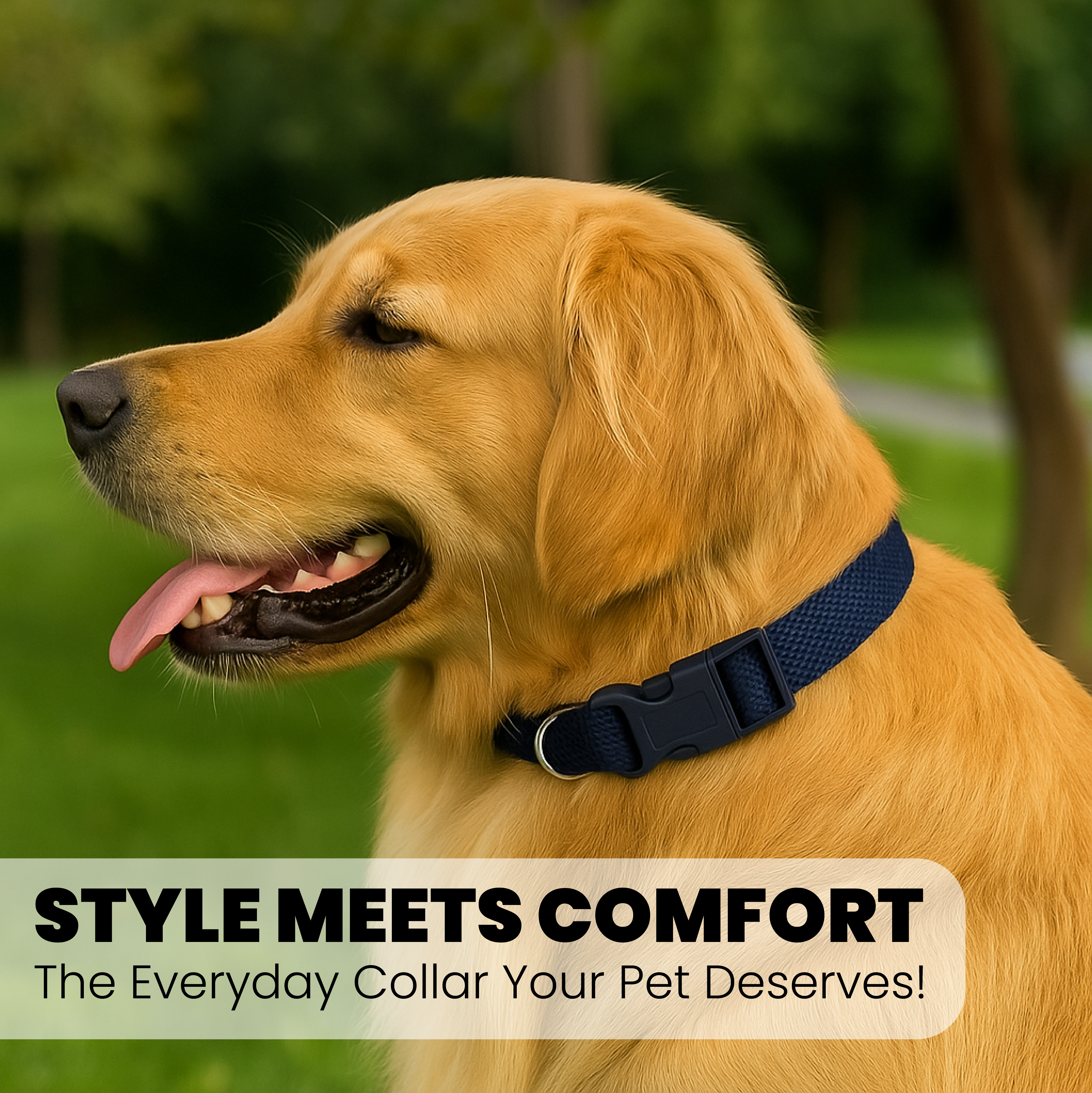Adjustable Dog Collar with Leash Clip - Small to Medium Size