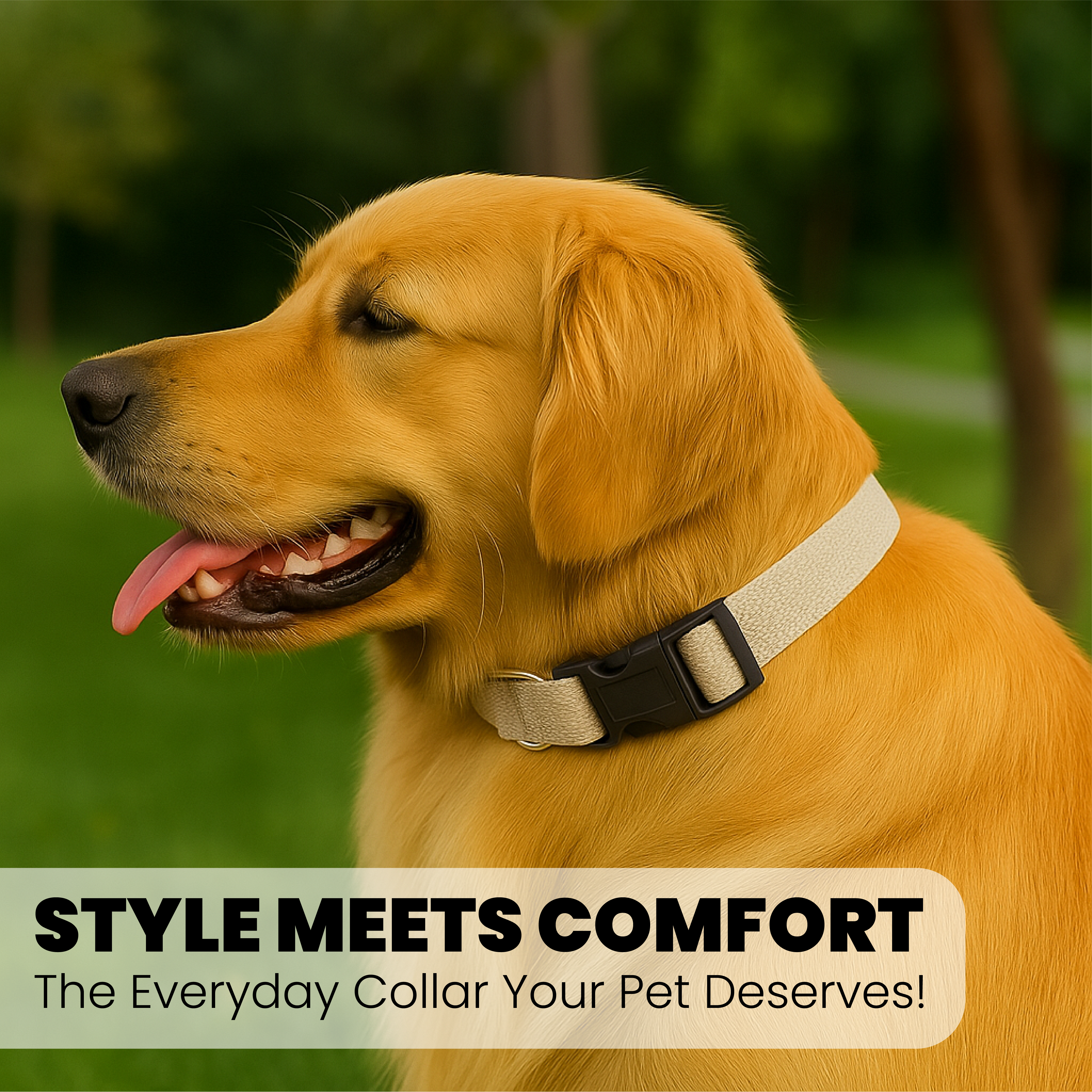 Adjustable Dog Collar with Leash Clip - Small to Medium Size