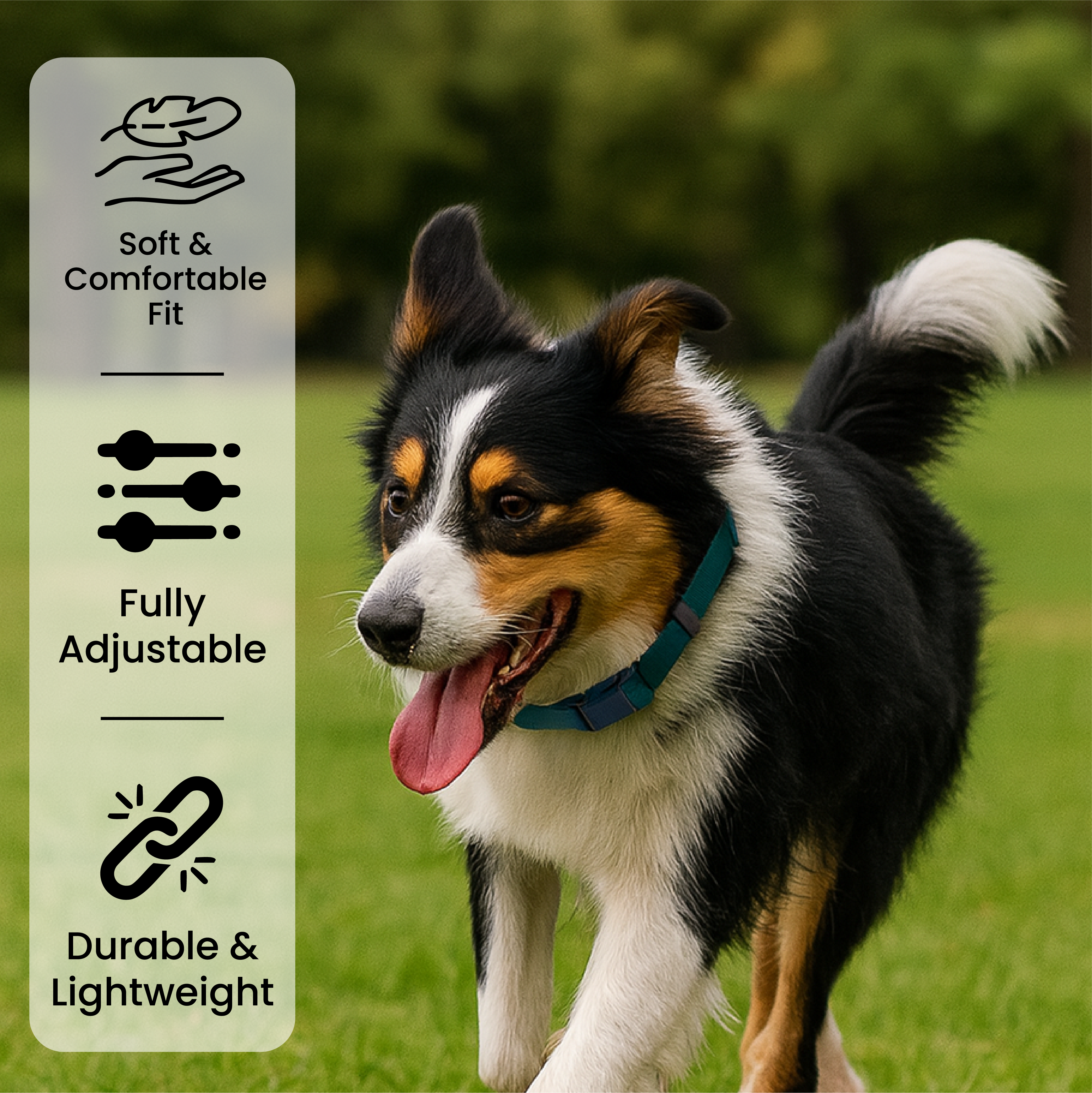 Adjustable Dog Collar with Leash Clip - Small to Medium Size