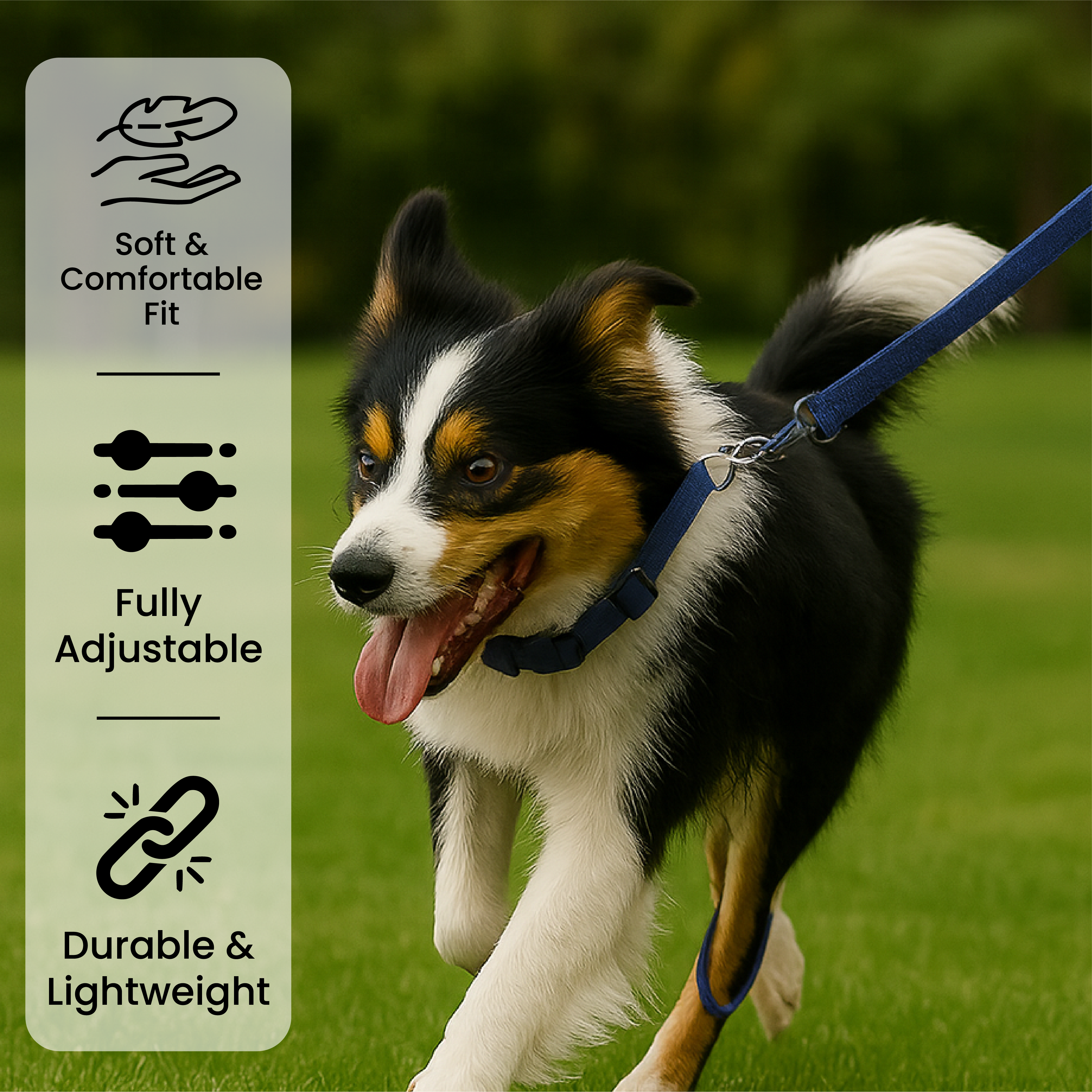 Adjustable Dog Collar with Leash Clip - Small to Medium Size