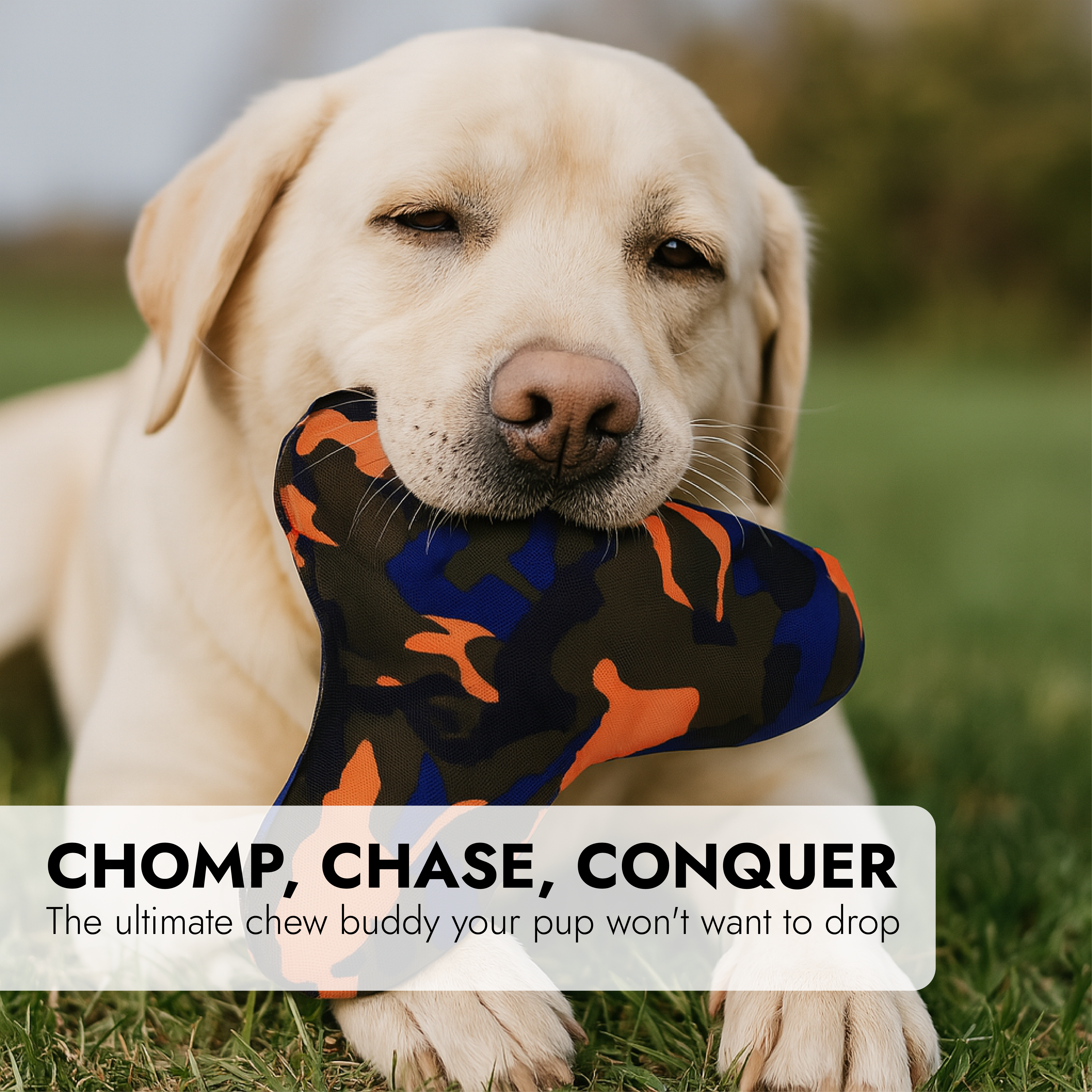 Pet Dog Chew Toy With Squeaker