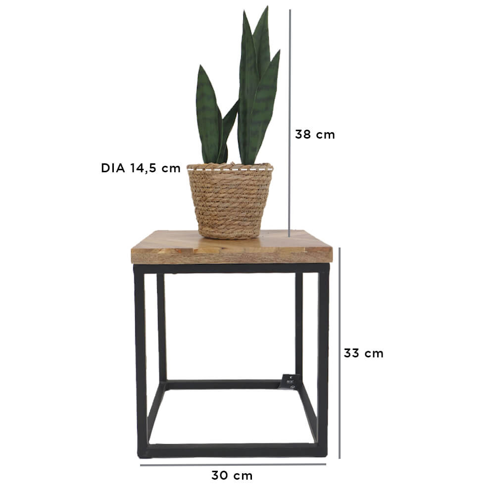 Mango wood side Table & Cattail Rope Pot plant