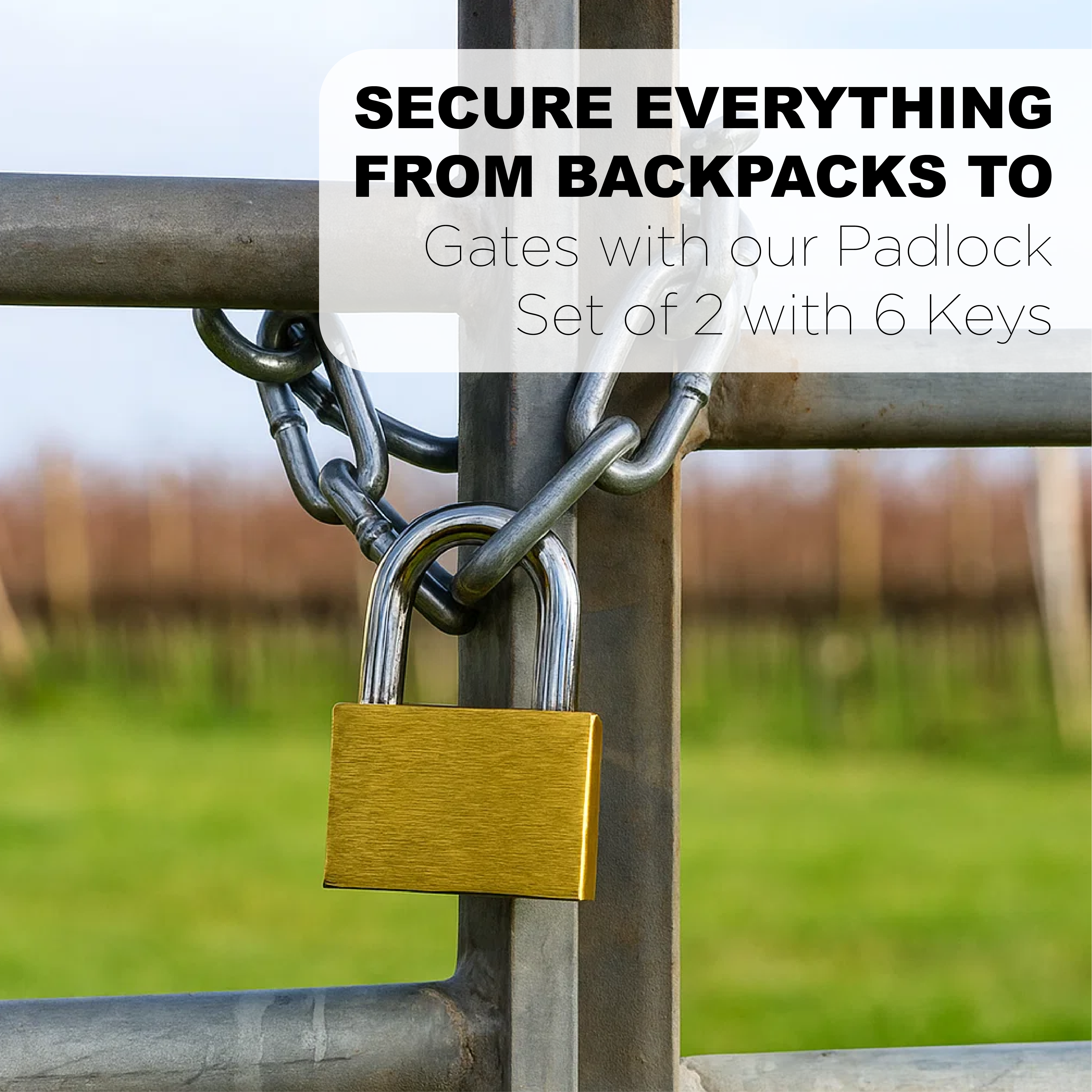 Luggage Lock Set of 2 with 4 Keys - 2.5/3.cm