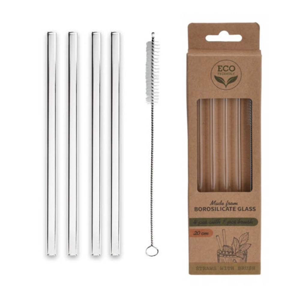 Glass Drinking Straws with Cleaner - 5 Pieces