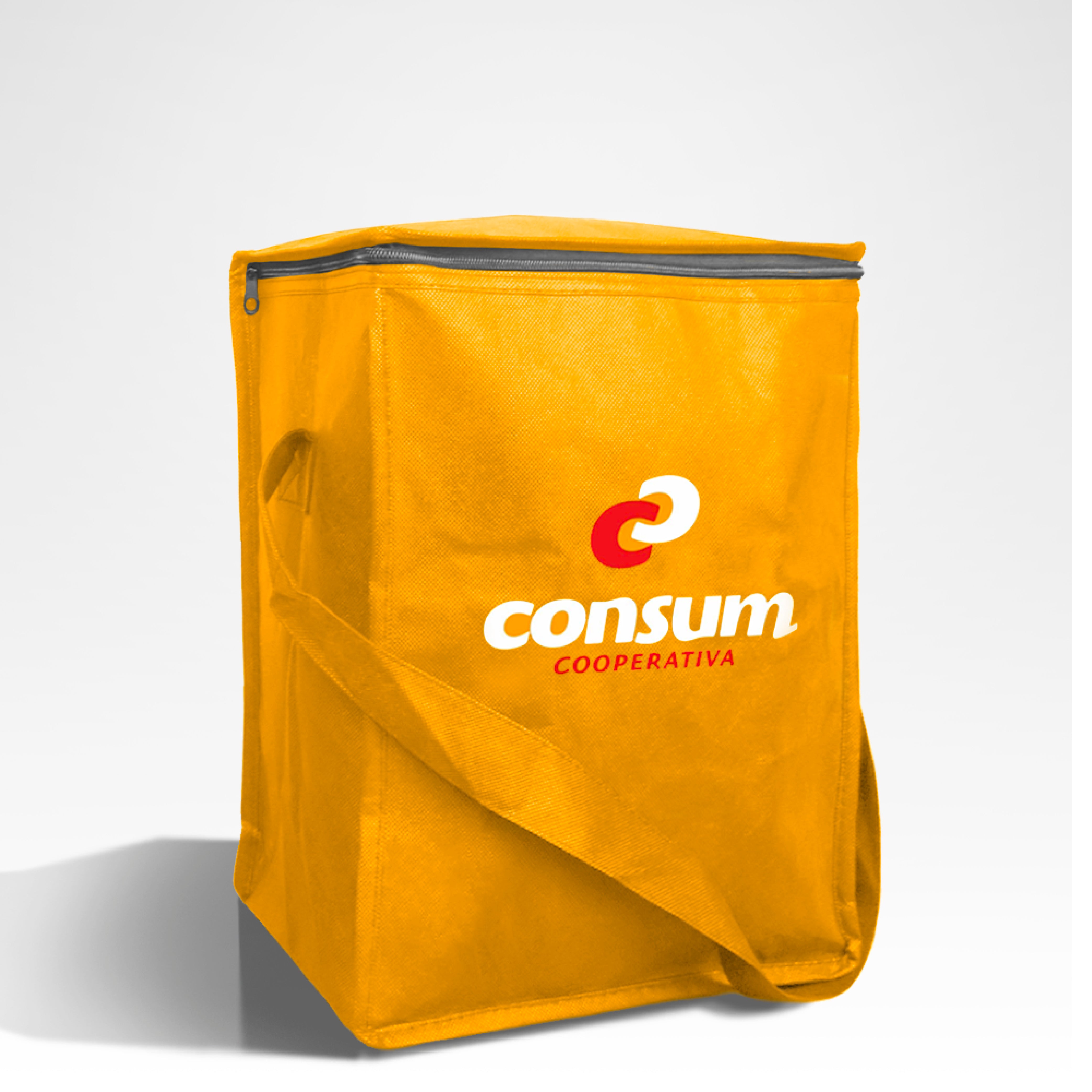 Reusable Non-Woven Insulated Cooler Bag | 70GSM, 16L