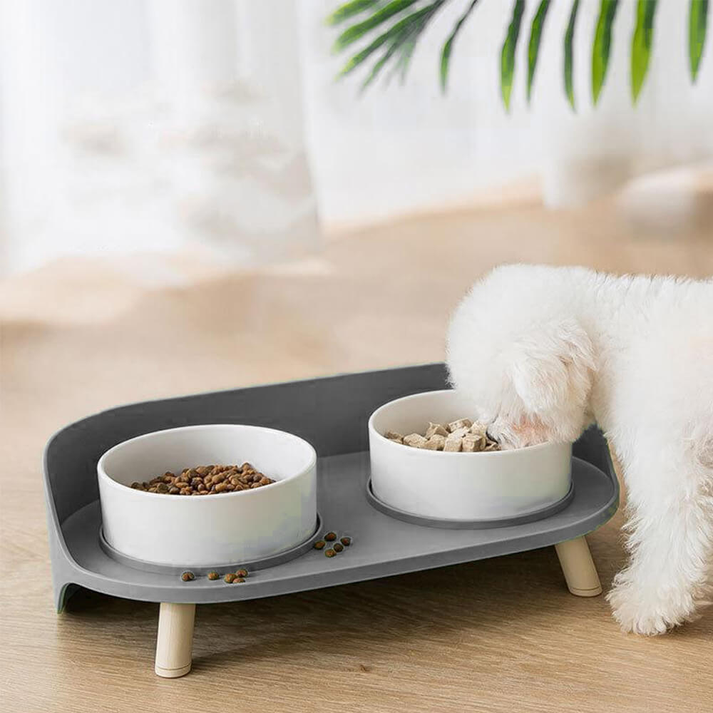 Double Dining Pet Feeder