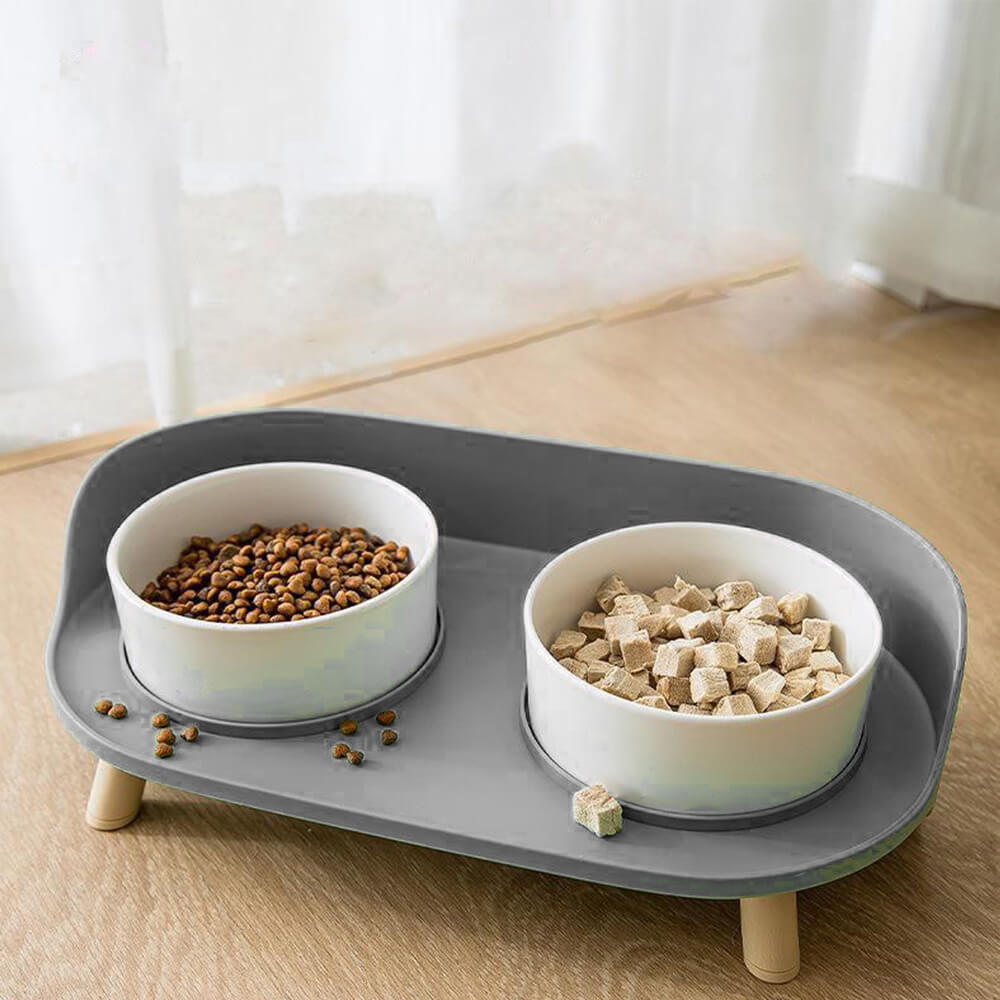 Double Dining Pet Feeder
