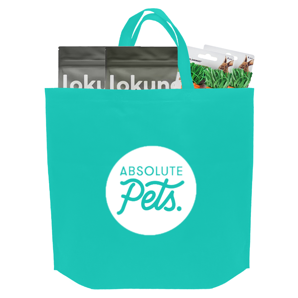 Turquoise Reusable Non-Woven Shopping Bag | 70GSM, 28L