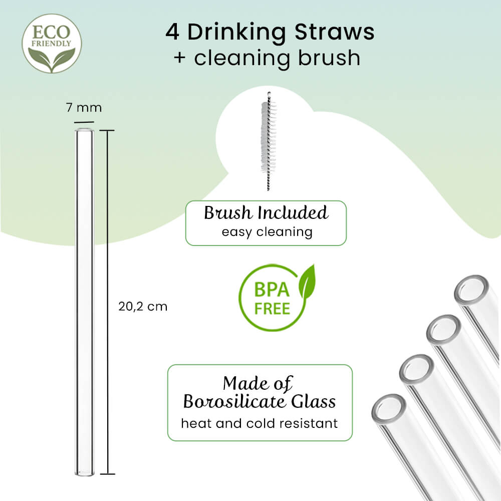 Glass Drinking Straws with Cleaner - 5 Pieces
