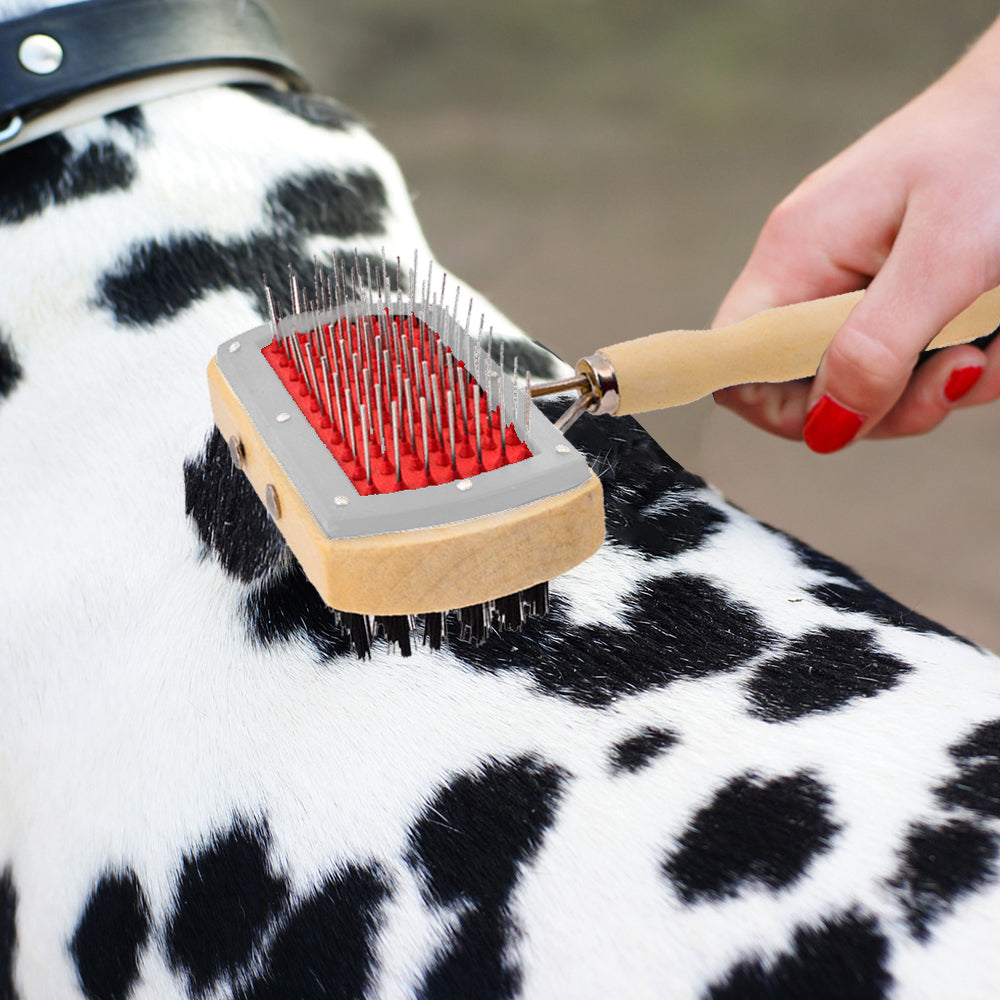 Wooden Dog Brush with Hard and Soft Bristles - Double Sided Brush