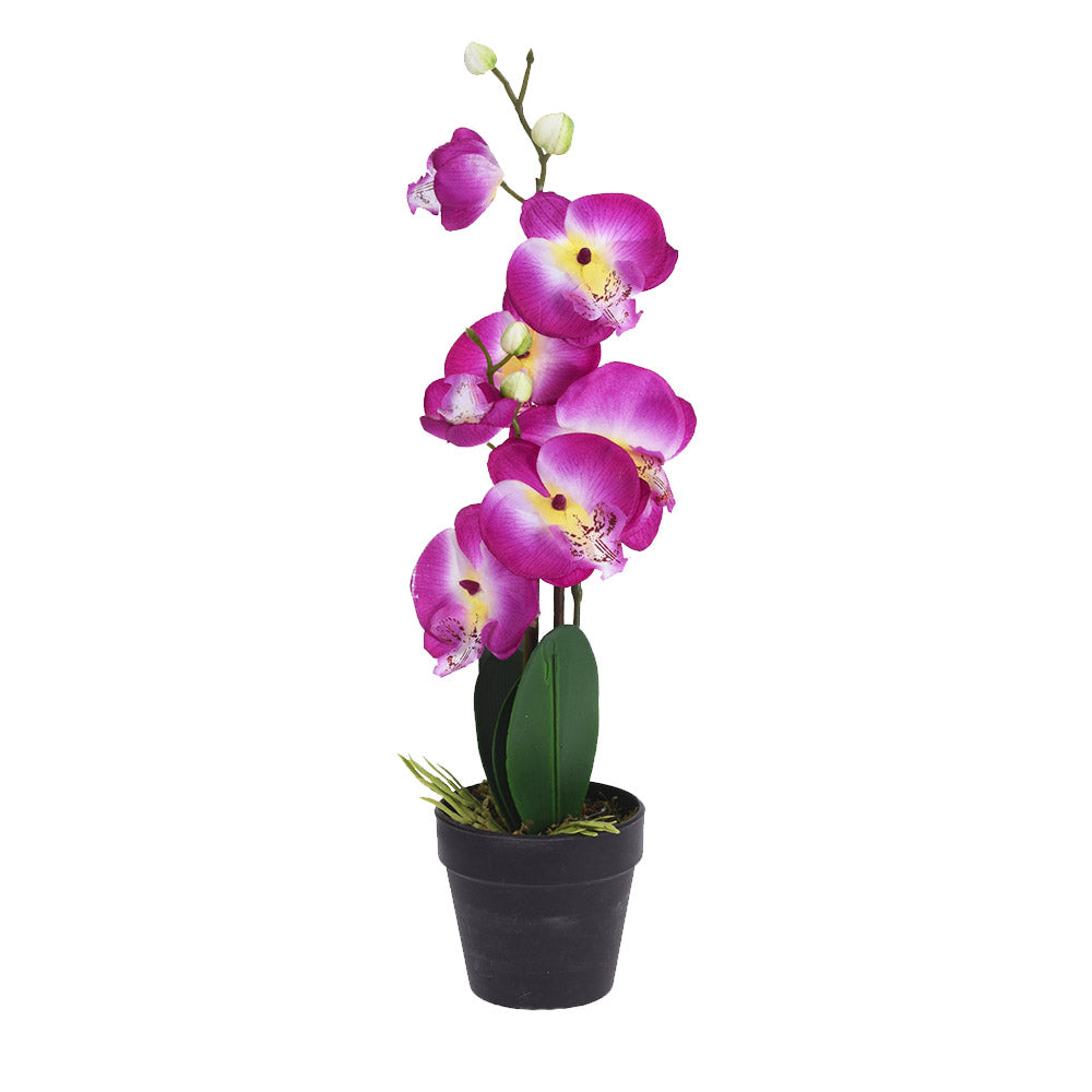 Artificial Orchid Plant in Pot