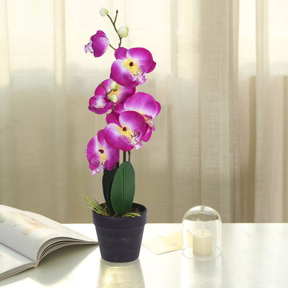 Artificial Orchid Plant in Pot