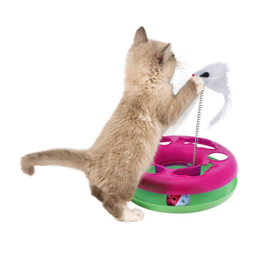 Cat Toy Chase Game with Ball and Mouse on Spring