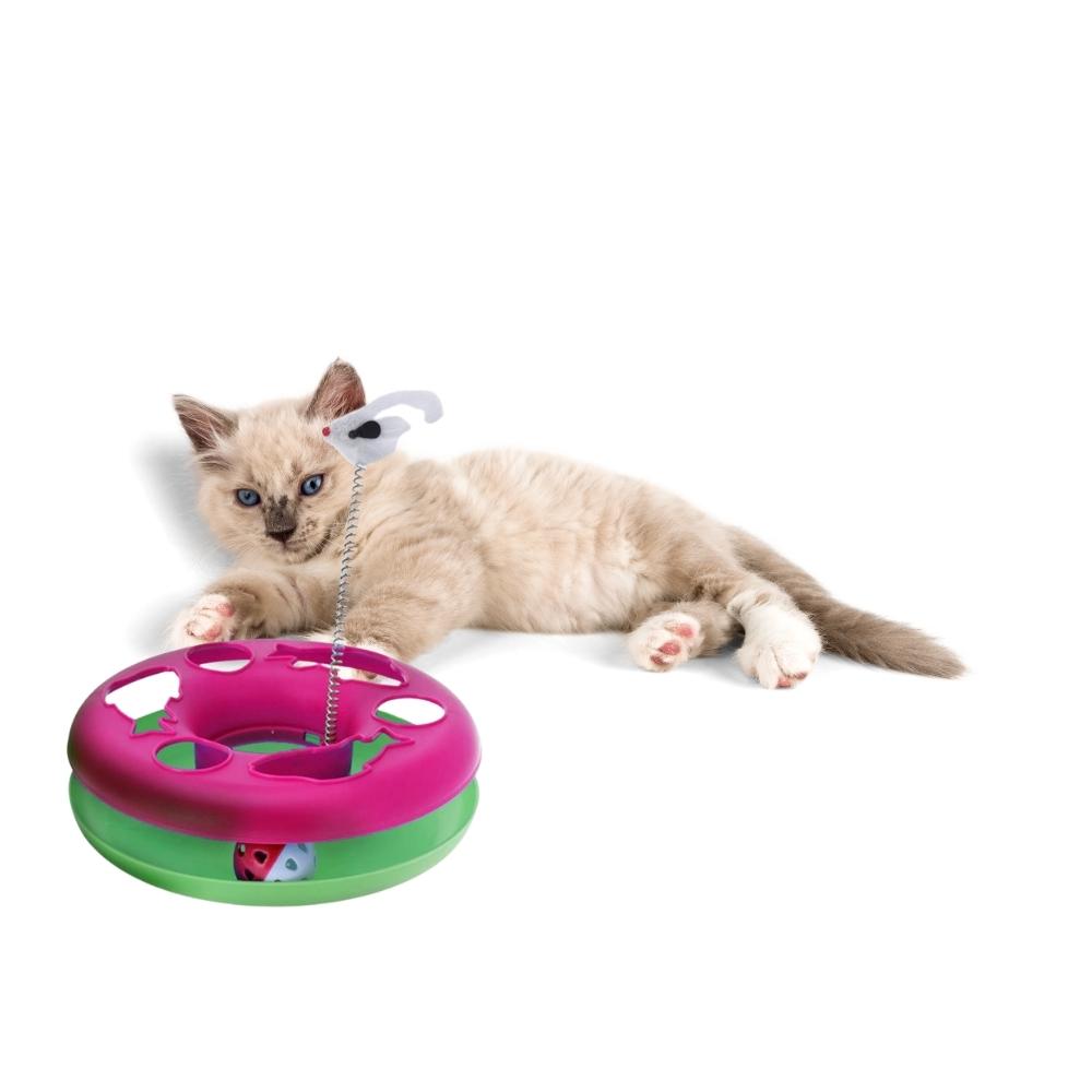 Cat Toy Chase Game with Ball and Mouse on Spring