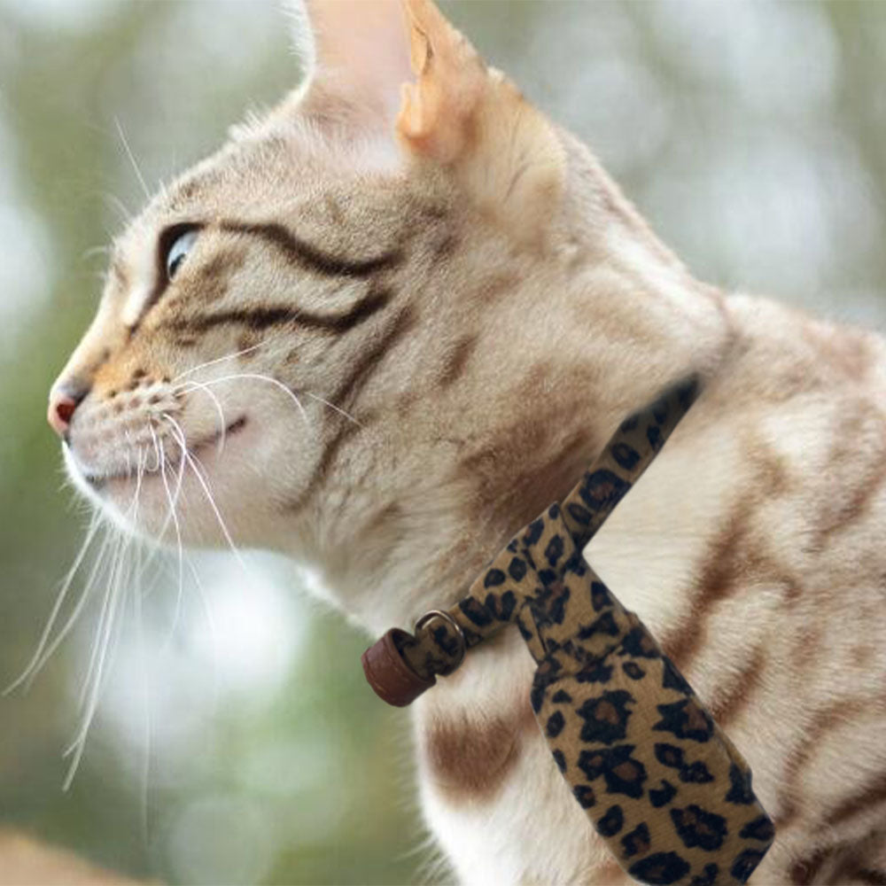 Pet Fabric Collar with Adjustable Collar
