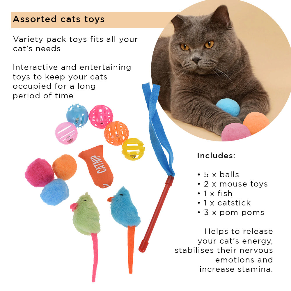 Katzenspielzeug-Vorteilspaket – Set mit 12 Spielzeugen