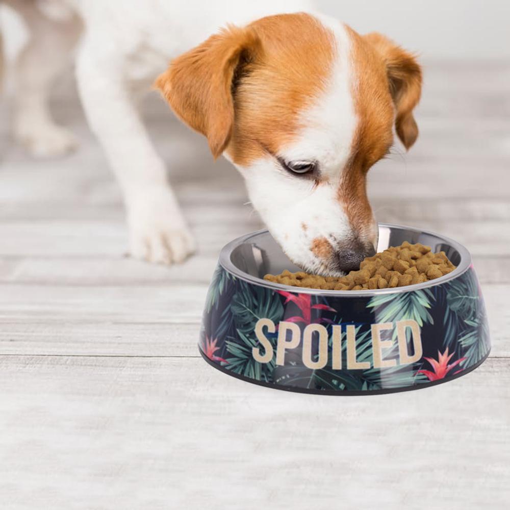 Stainless-Steel Dog Bowl with Non-Slip Feet