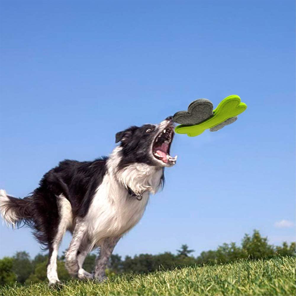 Jouet frisbee pour chien