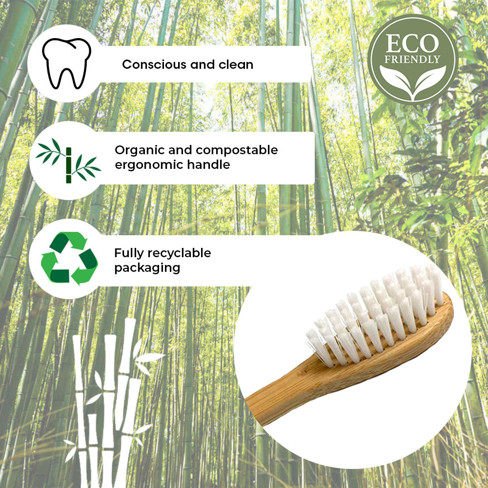 Bambuszahnbürste – 2er-Set – umweltfreundlich