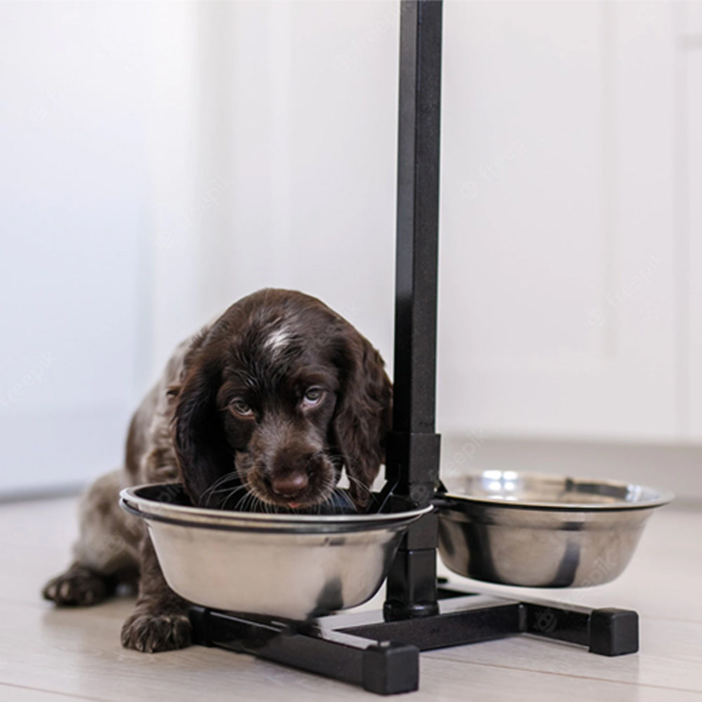 Pet Dog Bowl on Stand with Rubber Feet - Set of 2 - Stainless Steel