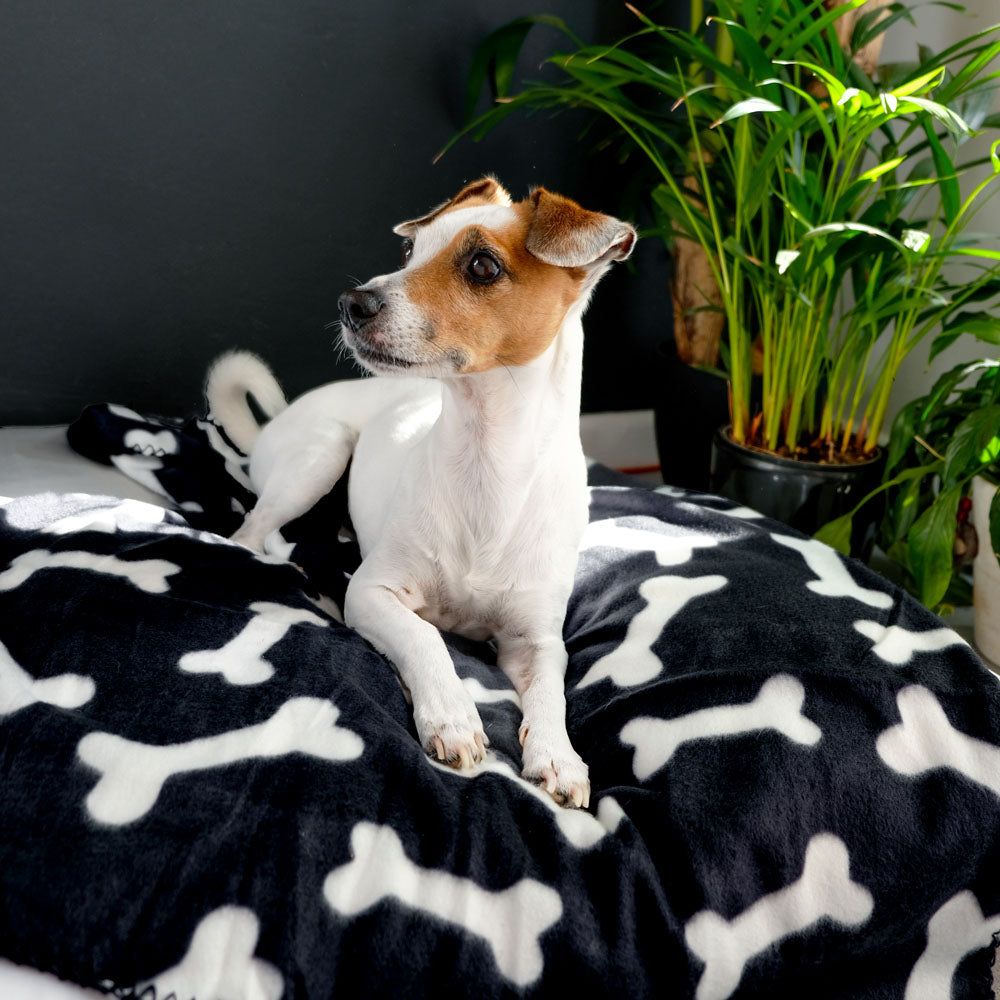 Dog Fleece Blanket - 150cm