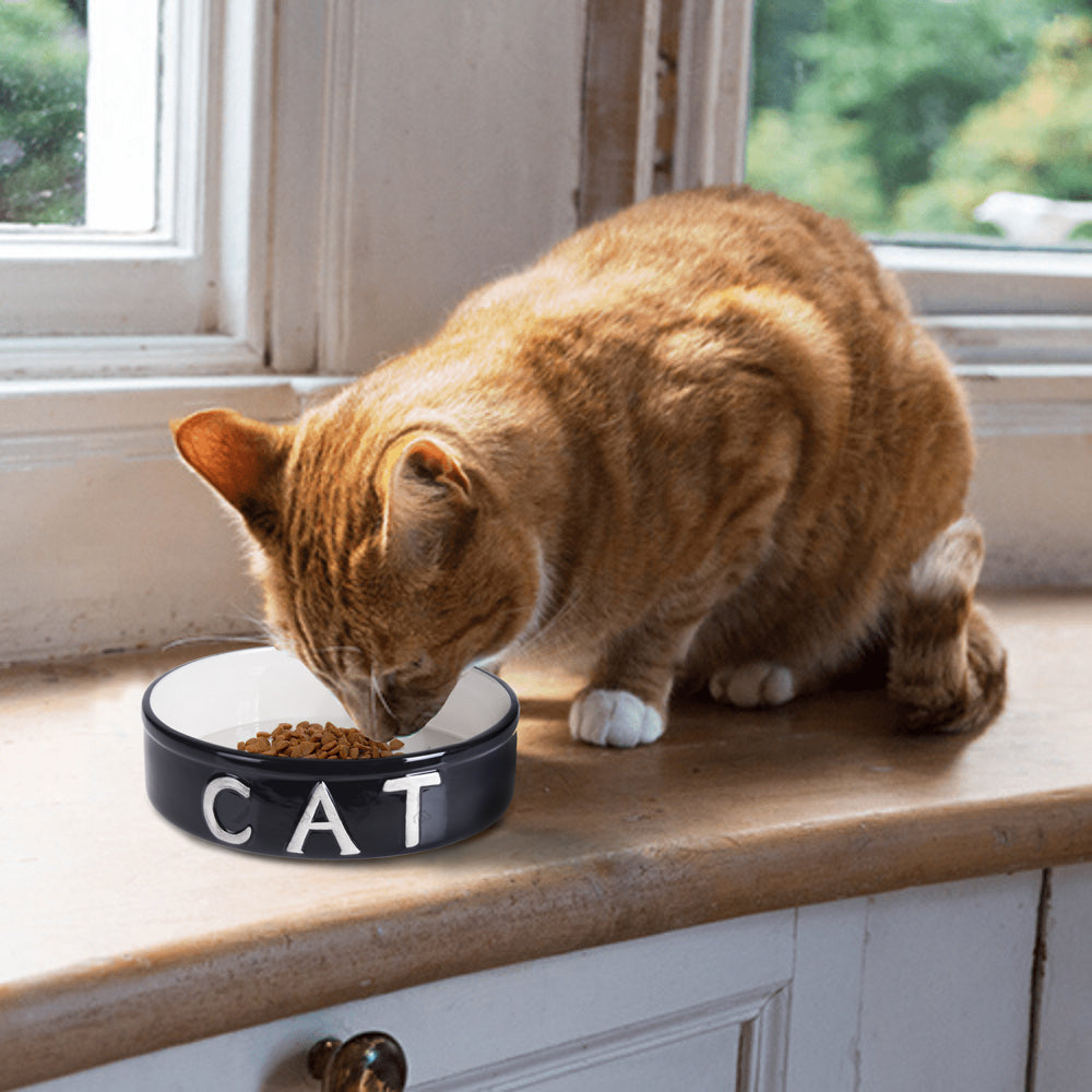 Pet Cat starter kit