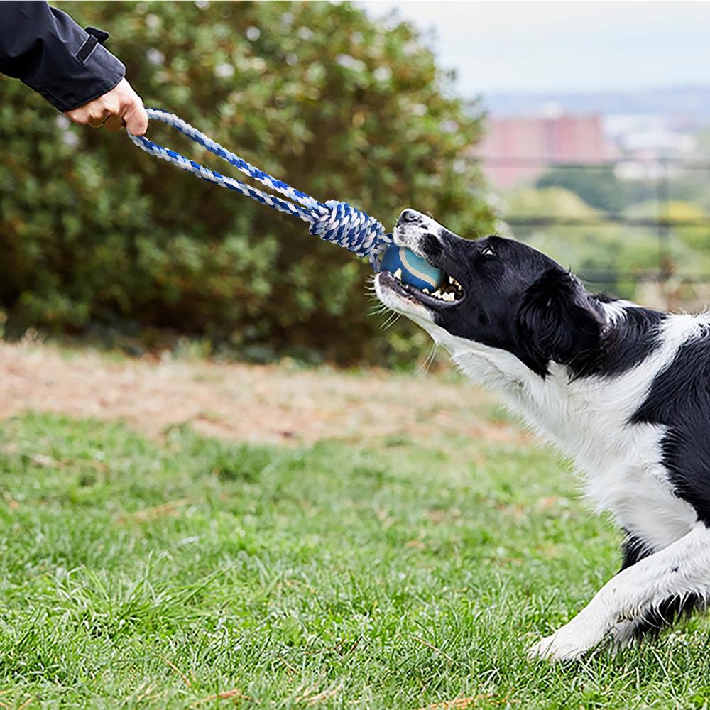 Corde pour chien avec poignée et balle de tennis - 32 cm