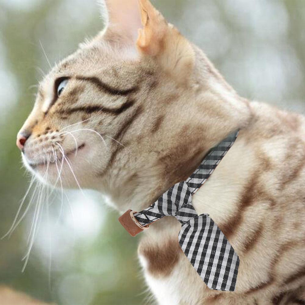 Pet Fabric Collar with Adjustable Collar